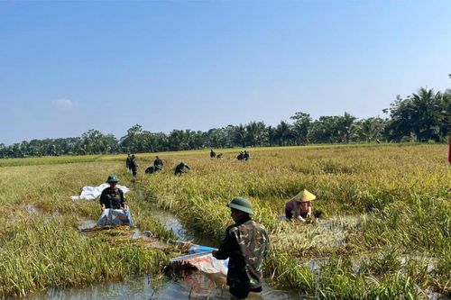 Nước rút đến đâu, bộ đội giúp dân đến đó