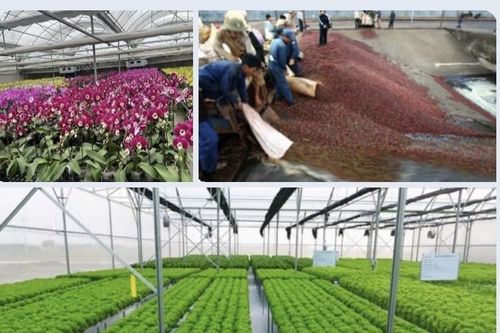 Vận động doanh nghiệp đồng hành phát triển lâu dài - cơ hội mới cho nông nghiệp hữu cơ
