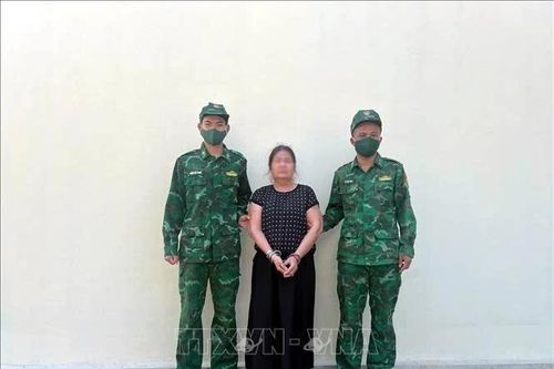 Biên phòng Quảng Ninh phát hiện, bắt giữ đối tượng truy nã