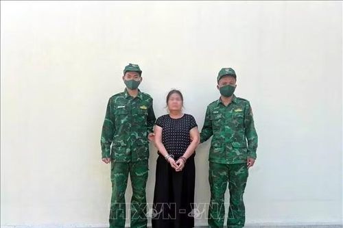 Phát hiện, bắt giữ đối tượng bị truy nã