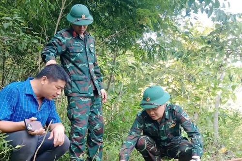 Đồi nứt 600m, xã Trung Hạ đề xuất tái định cư cho người dân