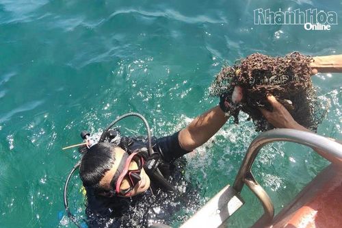 Thu gom 30kg rác thải, lưới ma vướng trên rạn san hô khu vực biển Hòn Mun