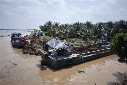 Khẩn trương khắc phục sạt lở đê bao cồn Cái Gà