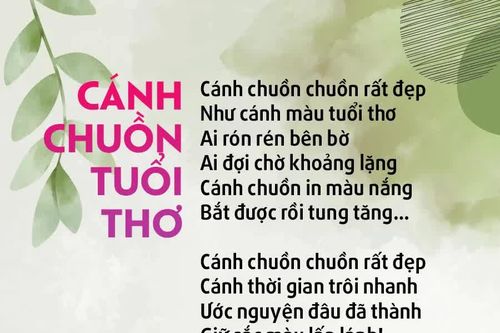 Cánh chuồn tuổi thơ