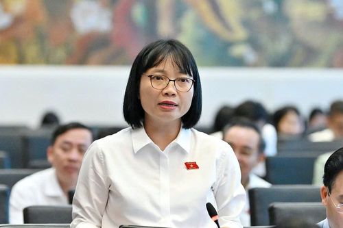ĐBQH: Mọi thay đổi trong cơ chế giá điện cần được xem xét hết sức thận trọng