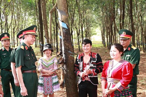 Binh đoàn 16: Nâng cao hiệu quả thực hiện nhiệm vụ tại các đoàn kinh tế - quốc phòng
