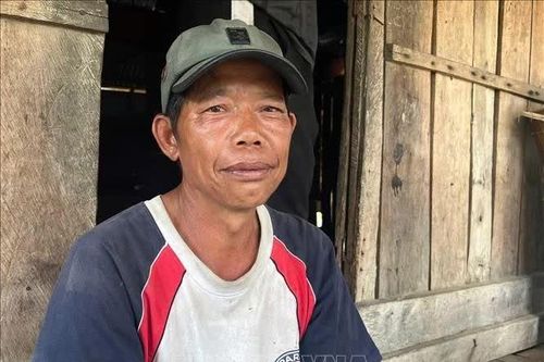 Gia Lai làm rõ vụ người dân 'không hay biết' đơn xin trồng rừng