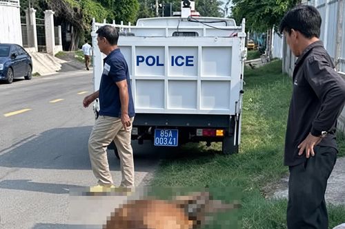 Hiểm họa từ thả rông gia súc gần đường giao thông ở xã Ninh Hải