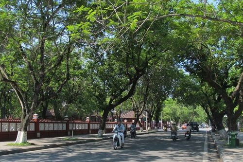 Phải ráo riết & nghiêm khắc hơn nữa