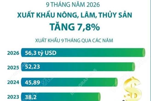 9 tháng năm 2026: Xuất khẩu nông, lâm, thủy sản tăng 7,8%
