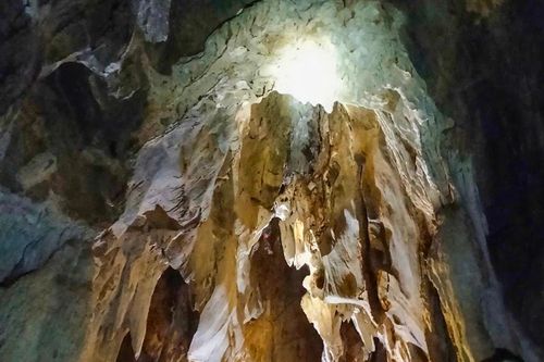 Phát hiện hang động nhiều tầng trong rừng nguyên sinh ở Nghệ An