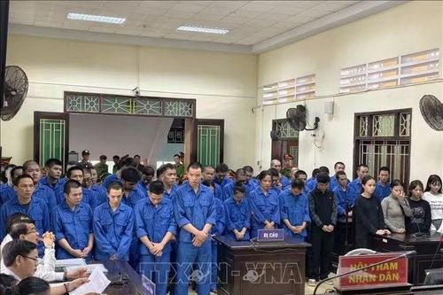 Tuyên phạt hơn 424 năm tù trong vụ án tổ chức sử dụng ma tuý quy mô lớn
