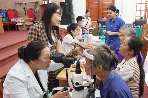 “Tuổi cao - gương sáng” góp sức xây dựng quê hương