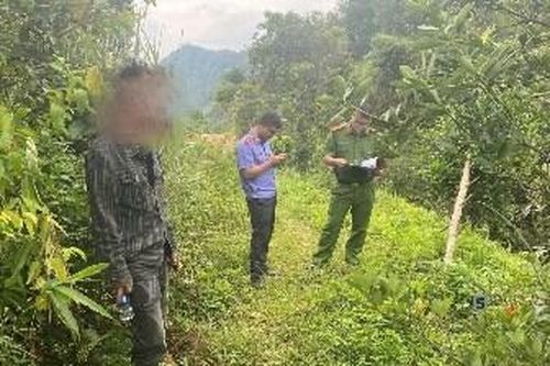 Khởi tố người đàn ông lẩn trốn vào rừng sử dụng ma túy
