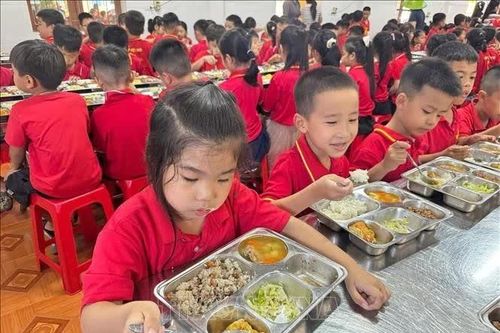 Giữ an toàn, đủ dinh dưỡng cho bữa ăn bán trú học đường