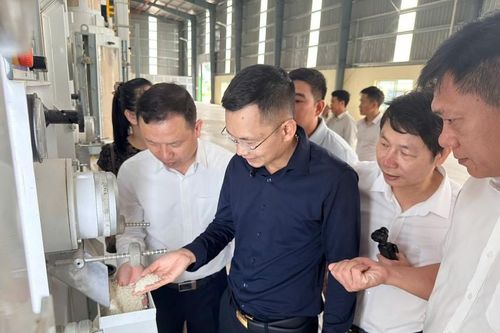 Khép kín từ thu gom bụi đến tận dụng phụ phẩm: Giảm hao hụt, nâng giá trị nông sản