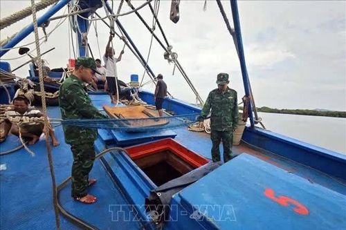 Bộ đội Biên phòng tạm giữ tàu chở 50.000 lít dầu không rõ nguồn gốc