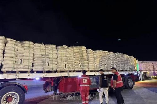 WHO cảnh báo hậu quả tàn khốc khi trì hoãn viện trợ Gaza