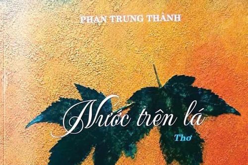 Từ phố thị phồn hoa về bên phá Tam Giang
