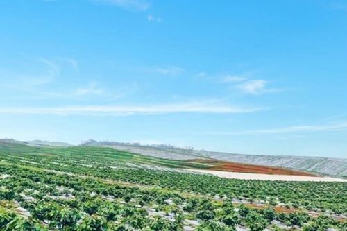 Hoàng Anh Gia Lai hoàn tất chào bán 18,8 triệu cổ phiếu lần đầu ra công chúng