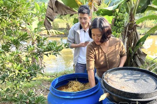 Chăm đất 'khỏe', xây dựng nông nghiệp bền vững