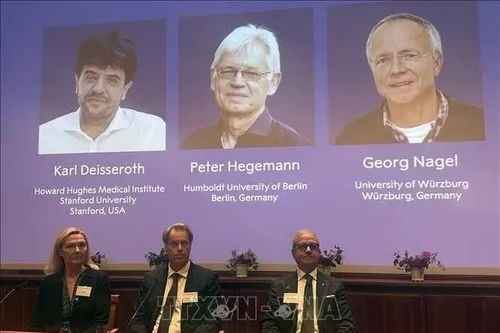3 nhà khoa học đoạt Nobel Y Sinh nhờ công nghệ điều khiển neuron bằng ánh sáng