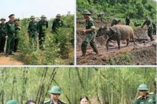 Tuyên truyền nâng cao nhận thức về Quân đội tham gia lao động sản xuất, kết hợp quốc phòng với kinh tế - xã hội