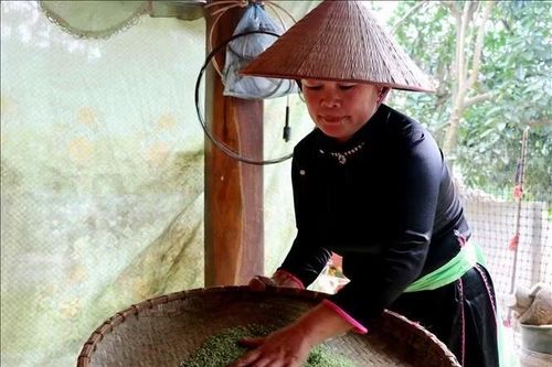 Giữ hồn cốm - nét đẹp văn hóa truyền thống lâu đời của người Tày