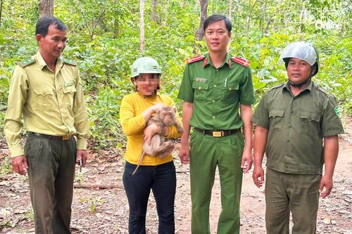 Công an xã Anh Dũng phối hợp vận động người dân thả cá thể khỉ về rừng tự nhiên