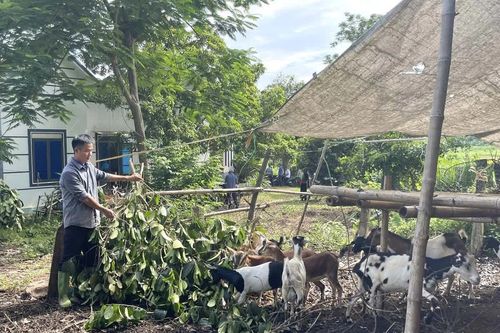 Vân Du đưa việc học và làm theo Bác đi vào chiều sâu