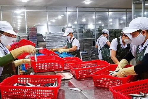 Đà Nẵng: 9 tháng xuất siêu hơn 245 triệu USD