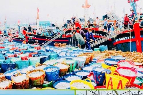 Lâm Đồng rà soát, đề xuất sắp xếp các hội thuộc lĩnh vực nông nghiệp và môi trường