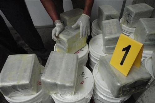 Mexico thu giữ 1,2 tấn cocaine và bắt giữ thủ lĩnh băng nhóm Mara 18