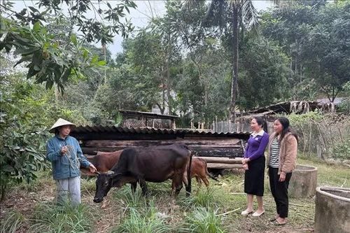 Nội dung, cơ chế, chính sách thực hiện Chương trình mục tiêu quốc gia giai đoạn 2026 - 2035
