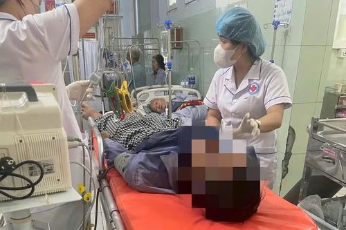 Cứu sống bệnh nhân ngộ độc cá nóc