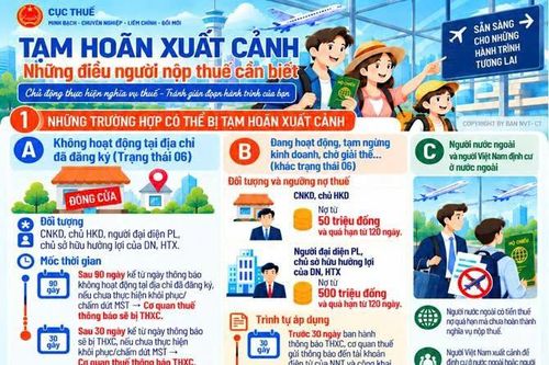 Hai ngưỡng nợ thuế có thể dẫn đến tạm hoãn xuất cảnh