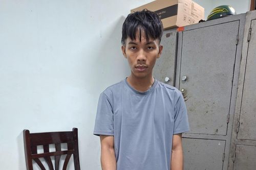 Truy xét nhanh đạo chích chuyên 'bắt dế'
