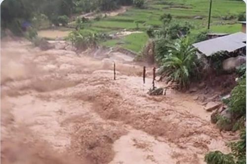 Lâm Đồng: Mưa lũ đầu tháng 10 gây thiệt hại 16,5 tỷ đồng, hơn 1.600 ha cây trồng gập úng