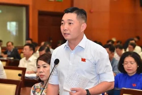 Ông Lê Trương Hải Hiếu làm Phó trưởng Ban Tổ chức Thành ủy TPHCM