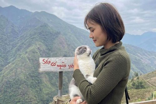 Bố mẹ giục cưới, người trẻ vẫn chọn du lịch, nuôi thú cưng, sống độc thân