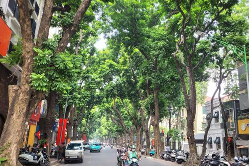 Kiến tạo Thủ đô xanh trên nền tảng bản sắc