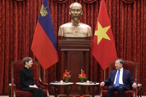Tổng Bí thư, Chủ tịch nước Tô Lâm tiếp Thủ tướng Liechtenstein