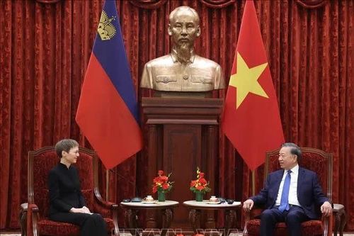 Tổng Bí thư, Chủ tịch nước Tô Lâm tiếp Thủ tướng Công quốc Liechtenstein