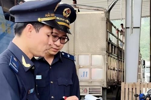 Hải quan đề xuất gỡ vướng chính sách quản lý urê nhập khẩu