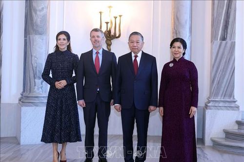 Tổng Bí thư, Chủ tịch nước Tô Lâm hội kiến Nhà vua Đan Mạch Frederik X