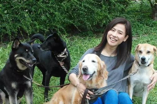 Liệu pháp 'chó trị liệu' đắt khách