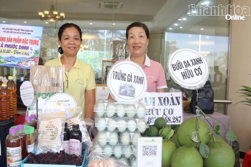 Tiếp sức phụ nữ phát triển kinh tế