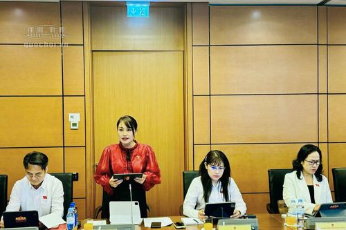 Đại biểu Quốc hội đề nghị nâng độ tuổi được mua, sử dụng thuốc lá lên 21 tuổi