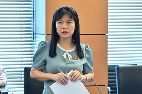 Đại biểu Quốc hội đề nghị siết tình trạng đất dự án chậm đưa vào sử dụng