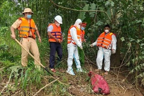 Nguy cơ ô nhiễm từ xác lợn chết trôi trên sông Đồng Nai